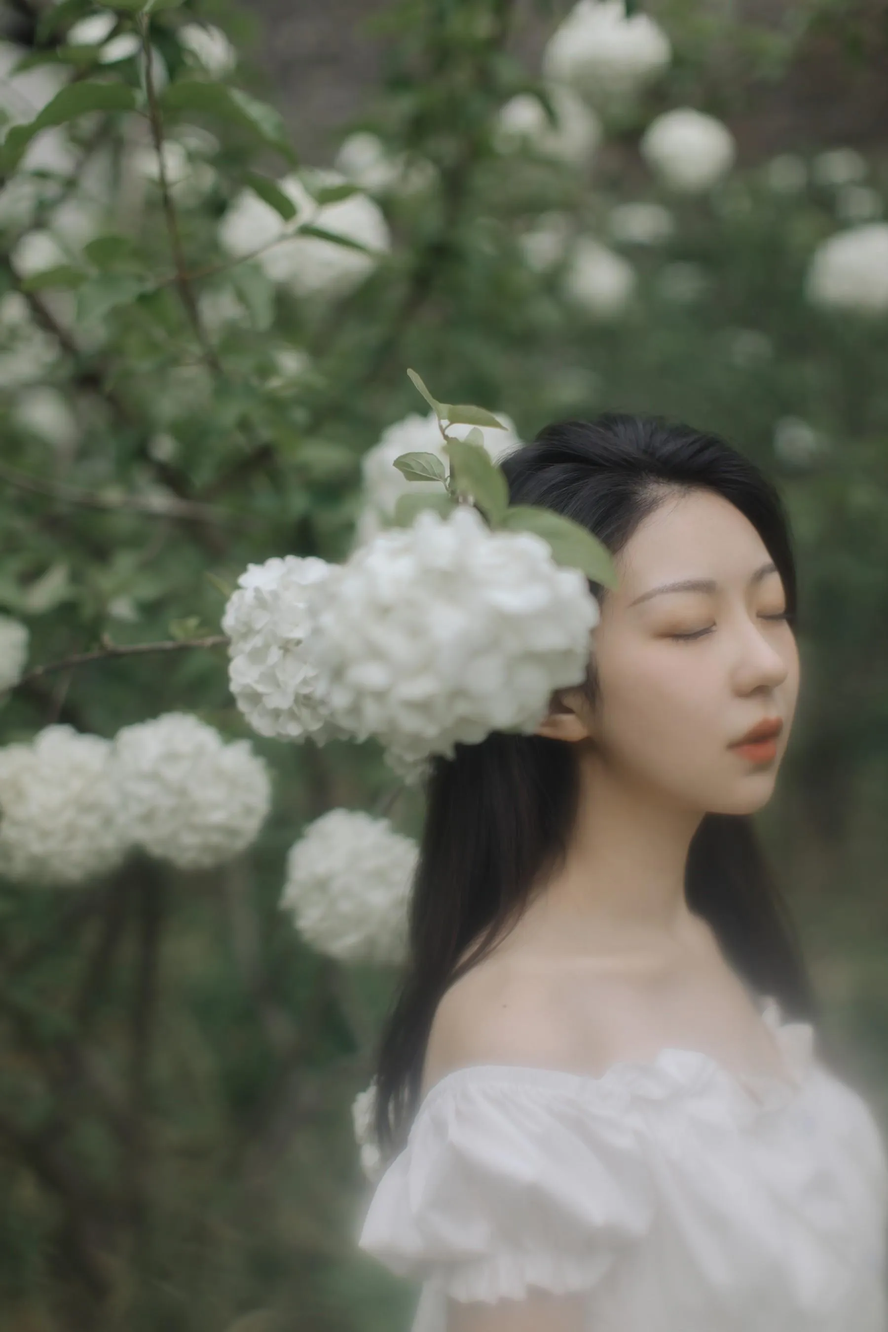 [YITUYU艺图语]2021.12.31 绣球花开 小tom [22P]插图7